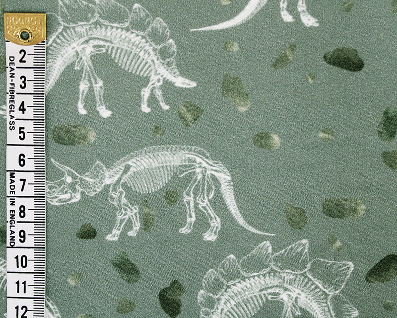 Dino Bones French Terry